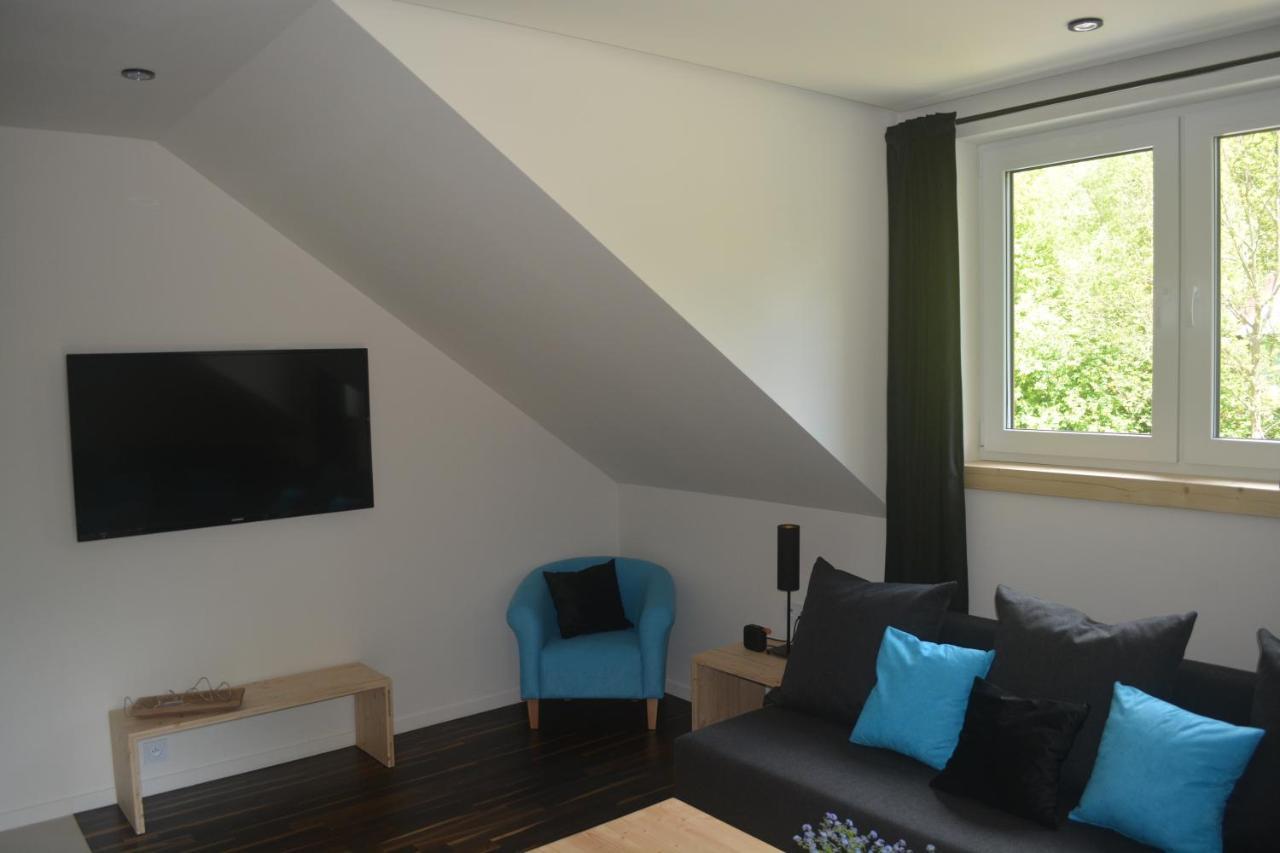 Nad Kryniczanka Apartment *